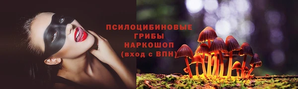 прущие грибы Семилуки