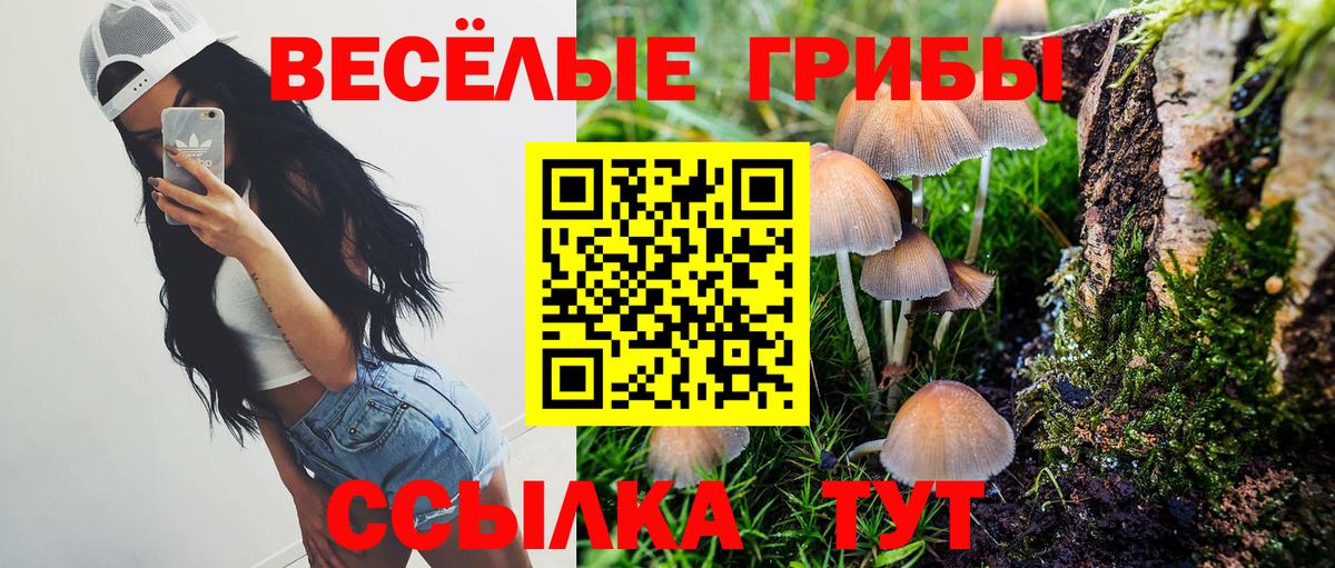 Псилоцибиновые грибы MAGIC MUSHROOMS Искитим