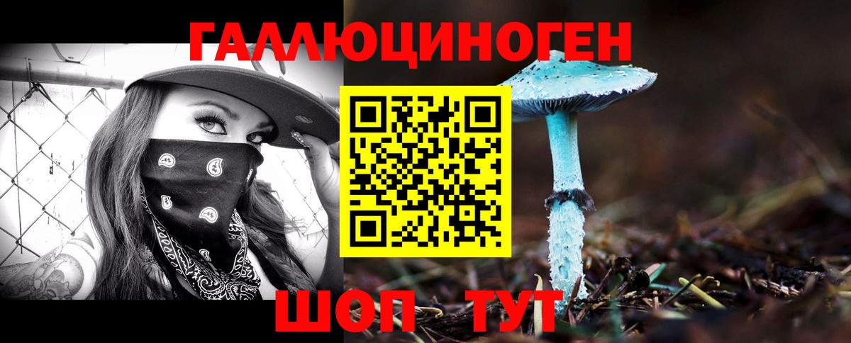 Искитим  Галлюциногенные грибы GOLDEN TEACHER  Вход с VPN 